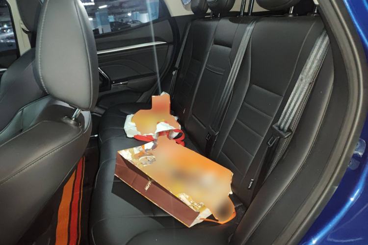 Used Haval F5 2018 1.5T i-Trend Left Rear Seat