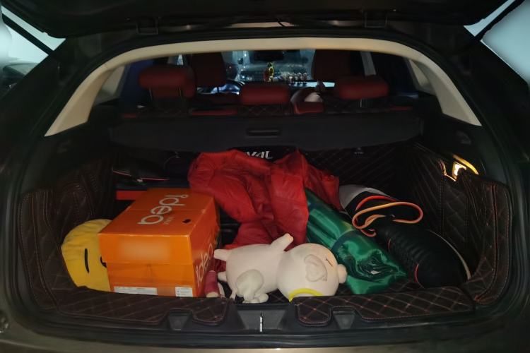 Used Haval F5 2018 1.5T i-Van Trunk