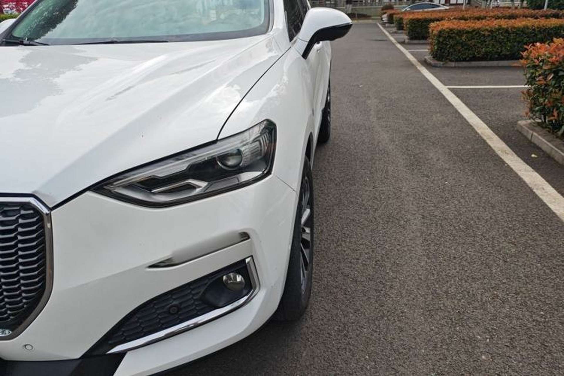 Used Haval F5 2018 1.5T i-Van Exterior 11