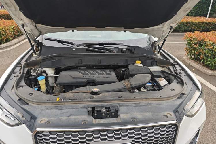 Used Haval F5 2018 1.5T i-Van Exterior 9