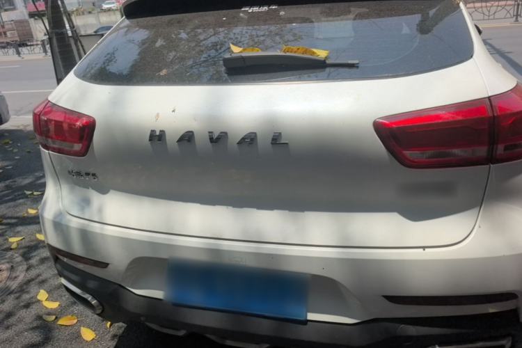 Used Haval F5 2018 1.5T i-Van Rear
