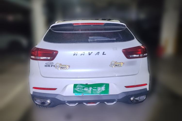 Used Haval F5 2018 1.5T i-Van Rear