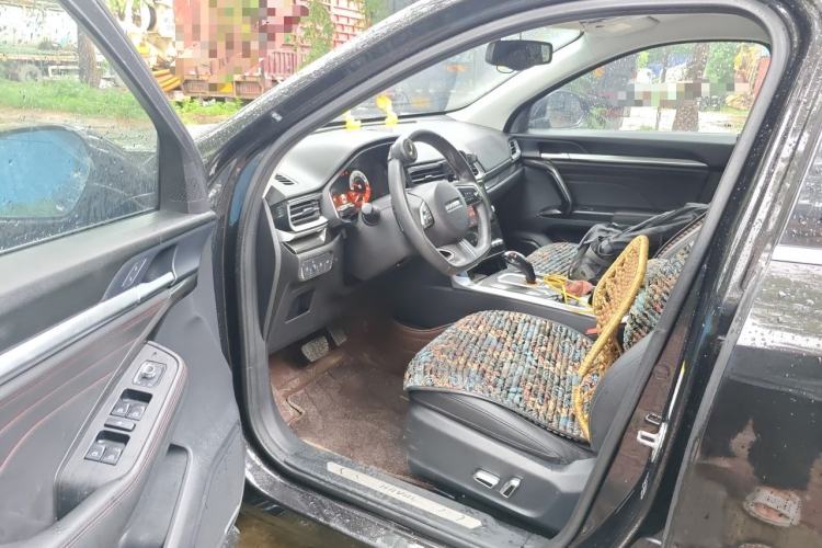 Used Haval F5 2019 National Trend Edition 1.5T i-Trend China VI Standard Driver Seat