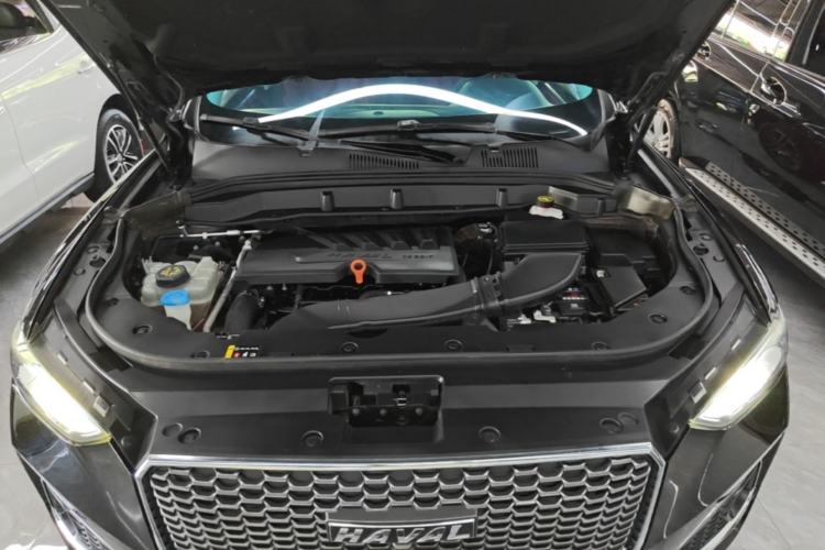 Used Haval F5 2019 National Trend Edition 1.5T i-Type China VI Standard Engine Bay