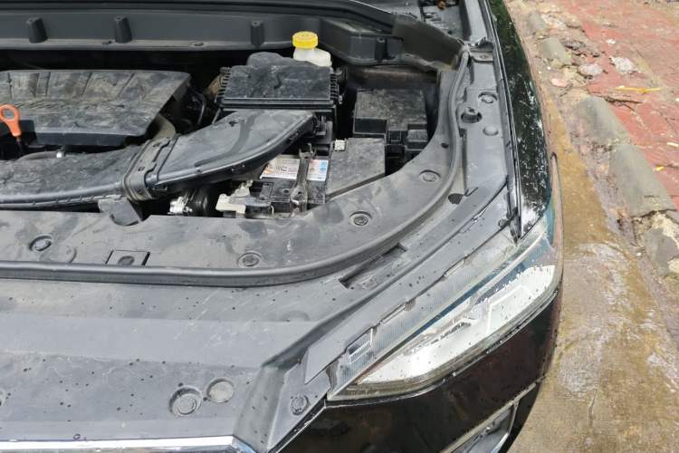 Used Haval F5 2019 National Trend Edition 1.5T i-Trend China VI Standard Engine Bay Left