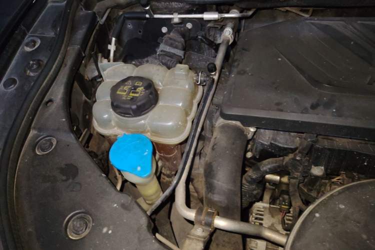 Used Haval F5 2019 National Trend Edition 1.5T i-Type China VI Standard Engine Bay Right
