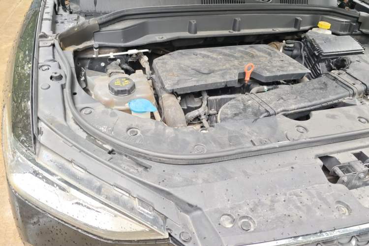 Used Haval F5 2019 National Trend Edition 1.5T i-Trend China VI Standard Engine Bay Right