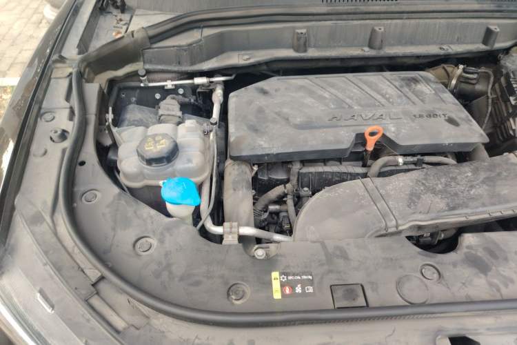 Used Haval F5 2019 National Trend Edition 1.5T i-Trend China VI Standard Engine Bay Right