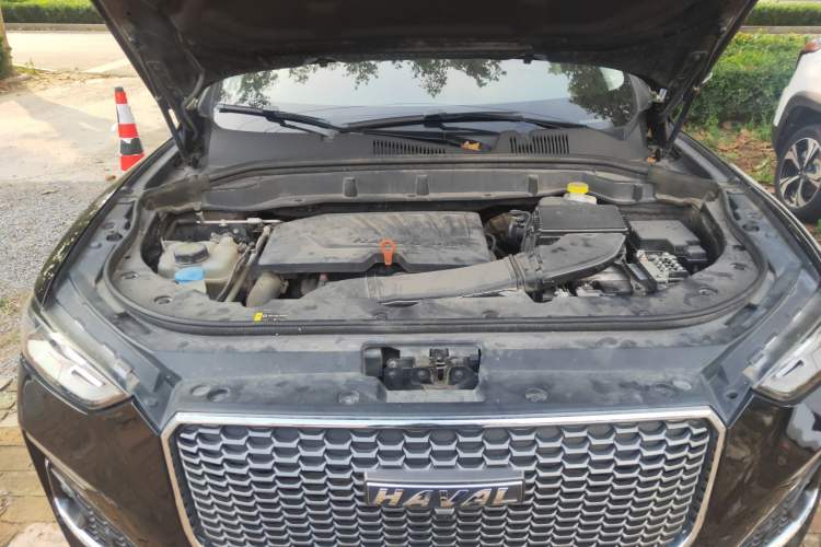 Used Haval F5 2019 National Trend Edition 1.5T i-Van China VI Standard Engine Bay
