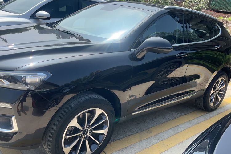 Used Haval F5 2019 National Trend Edition 1.5T i-Trend China VI Standard Exterior 2
