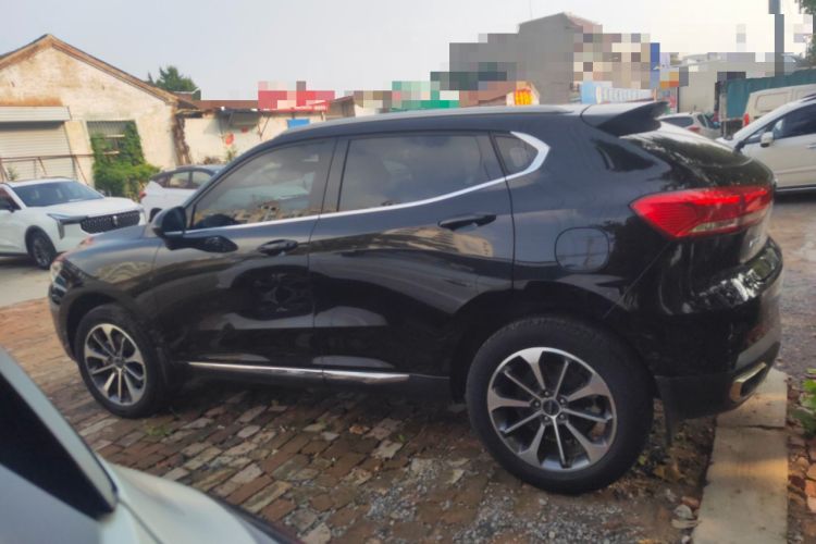 Used Haval F5 2019 National Trend Edition 1.5T i-Van China VI Standard Exterior 3