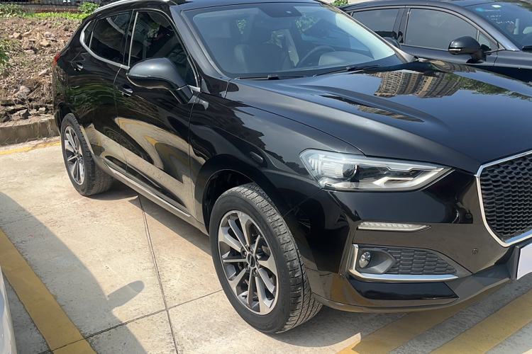 Used Haval F5 2019 National Trend Edition 1.5T i-Trend China VI Standard Exterior 5