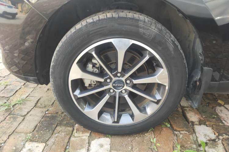 Used Haval F5 2019 National Trend Edition 1.5T i-Van China VI Standard Exterior 7