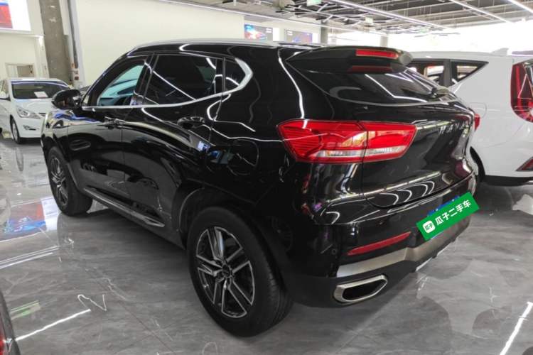 Used Haval F5 2019 National Trend Edition 1.5T i-Type China VI Standard Rear Left 45 Deg