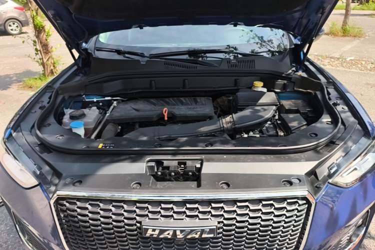 Used Haval F5 2019 National Trend Edition 1.5T i-Trend China VI Standard Engine Bay
