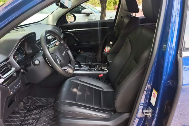 Used Haval F5 2019 National Trend Edition 1.5T i-Trend China VI Standard Left Front Seat