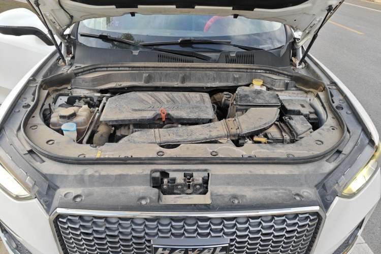 Used Haval F5 2019 National Trend Edition 1.5T i-Trend China VI Standard Engine Bay