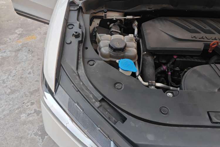 Used Haval F5 2019 National Trend Edition 1.5T i-Type China VI Standard Engine Bay Right
