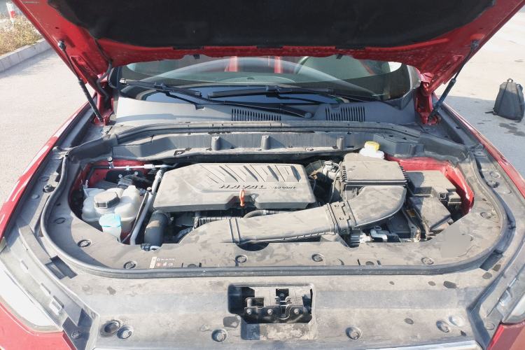 Used Haval F5 2019 National Trend Edition 1.5T i-Type China VI Standard Engine Bay