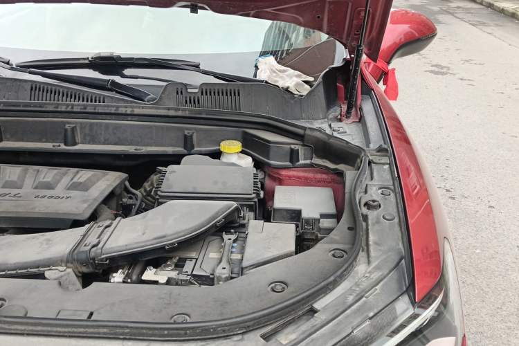 Used Haval F5 2019 National Trend Edition 1.5T i-Type China VI Standard Engine Bay Left