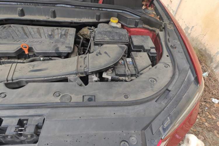 Used Haval F5 2019 National Trend Edition 1.5T i-Trend China VI Standard Engine Bay Left