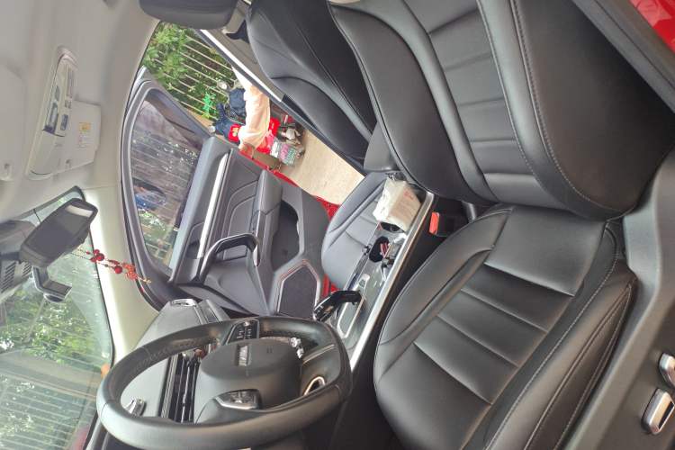 Used Haval F5 2019 National Trend Edition 1.5T i-Trend China VI Standard Left Front Seat