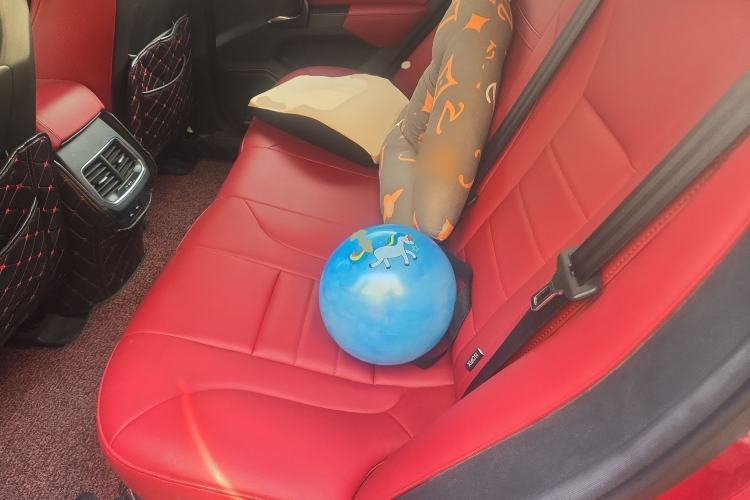 Used Haval F5 2019 National Trend Edition 1.5T i-Van China V Standard Left Rear Seat