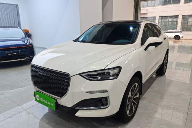 Used Haval F5 2019 National Trend Edition 1.5T i-Trend China VI Standard