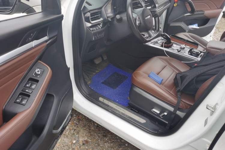 Used Haval F5 2019 National Trend Edition 1.5T i-Trend China VI Standard Driver Seat