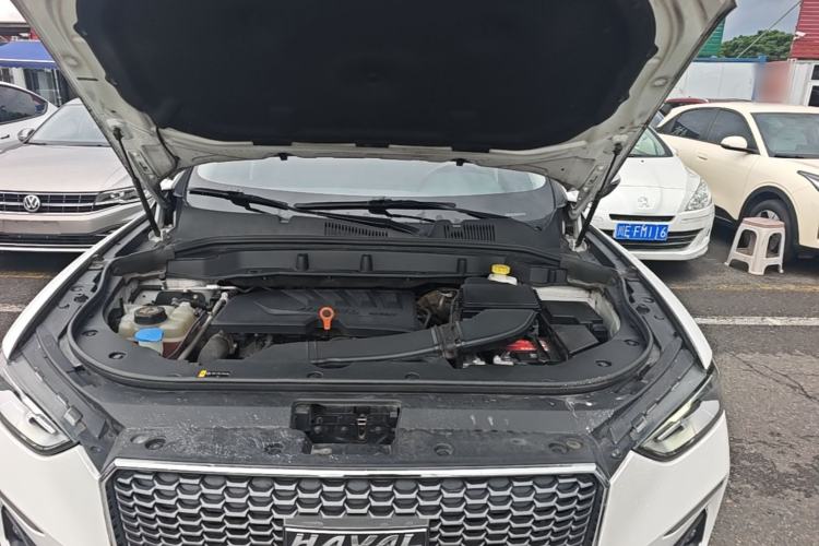 Used Haval F5 2019 National Trend Edition 1.5T i-Type China VI Standard Engine Bay