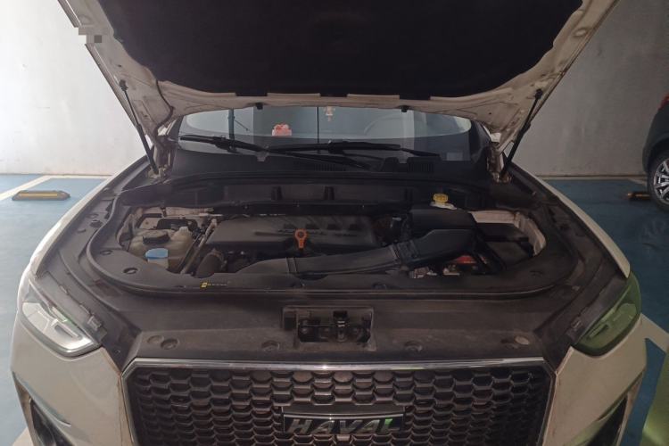 Used Haval F5 2019 National Trend Edition 1.5T i-Type China VI Standard Engine Bay