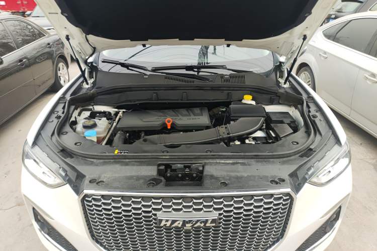 Used Haval F5 2019 National Trend Edition 1.5T i-Trend China VI Standard Engine Bay