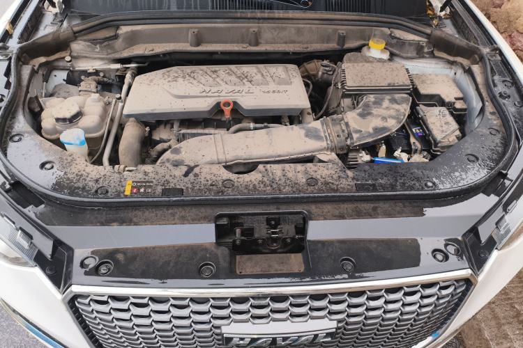 Used Haval F5 2019 National Trend Edition 1.5T i-Trend China VI Standard Engine Bay