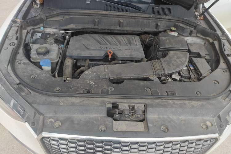 Used Haval F5 2019 National Trend Edition 1.5T i-Van China VI Standard Engine Bay