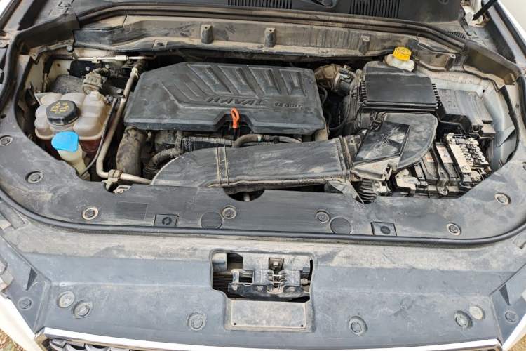 Used Haval F5 2019 National Trend Edition 1.5T i-Type China VI Standard Engine Bay