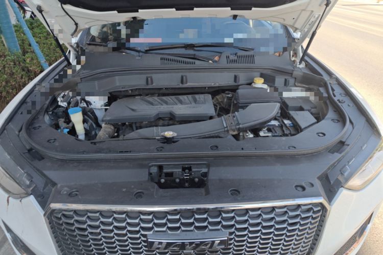 Used Haval F5 2019 National Trend Edition 1.5T i-Type China V standard Engine Bay