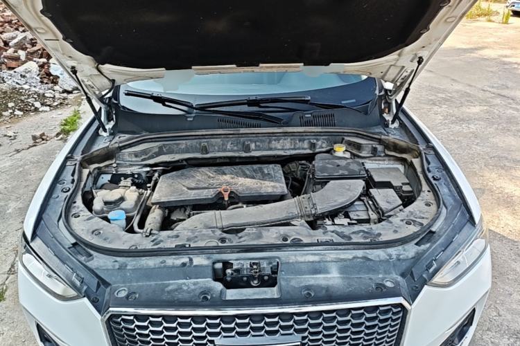 Used Haval F5 2019 National Trend Edition 1.5T i-Van China VI Standard Engine Bay
