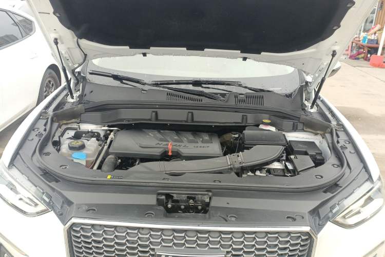 Used Haval F5 2019 National Trend Edition 1.5T i-Type China VI Standard Engine Bay