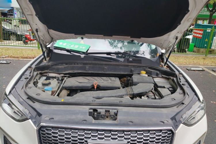 Used Haval F5 2019 National Trend Edition 1.5T i-Trend China VI Standard Engine Bay