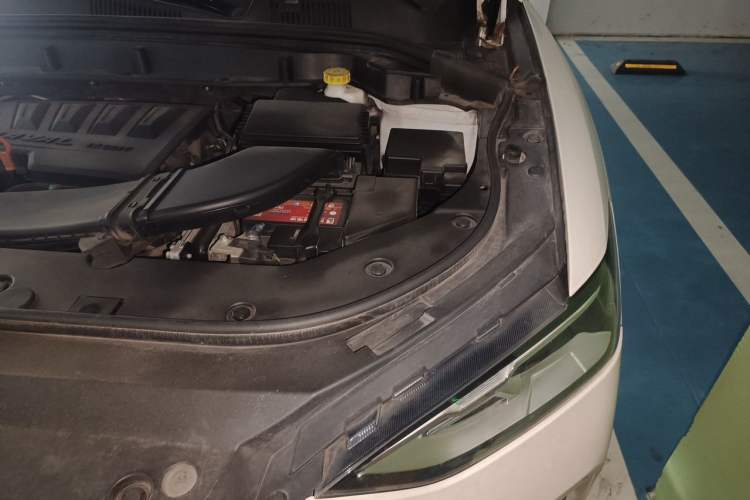 Used Haval F5 2019 National Trend Edition 1.5T i-Type China VI Standard Engine Bay Left