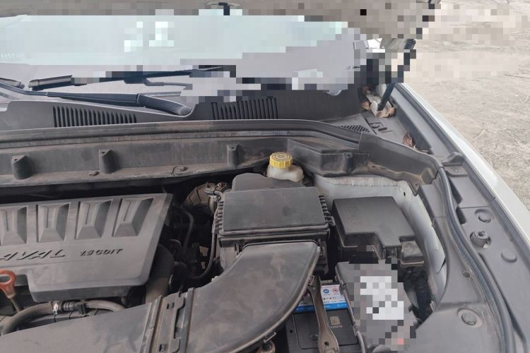 Used Haval F5 2019 National Trend Edition 1.5T i-Trend China VI Standard Engine Bay Left