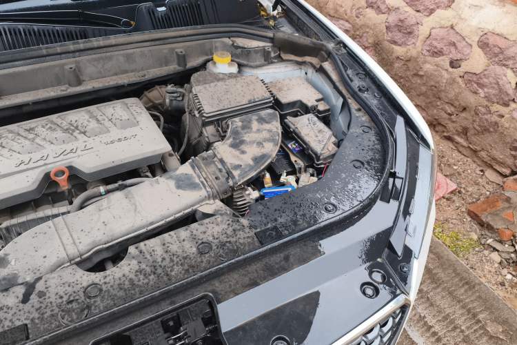 Used Haval F5 2019 National Trend Edition 1.5T i-Trend China VI Standard Engine Bay Left