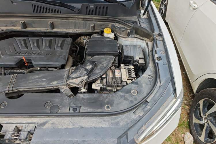 Used Haval F5 2019 National Trend Edition 1.5T i-Type China VI Standard Engine Bay Left