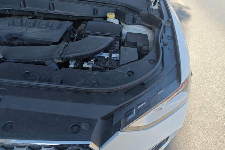 Used Haval F5 2019 National Trend Edition 1.5T i-Type China V standard Engine Bay Left