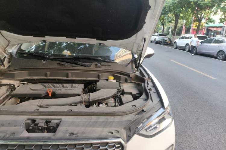 Used Haval F5 2019 National Trend Edition 1.5T i-Trend China VI Standard Engine Bay Left
