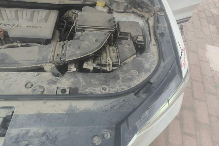 Used Haval F5 2019 National Trend Edition 1.5T i-Trend China VI Standard Engine Bay Left