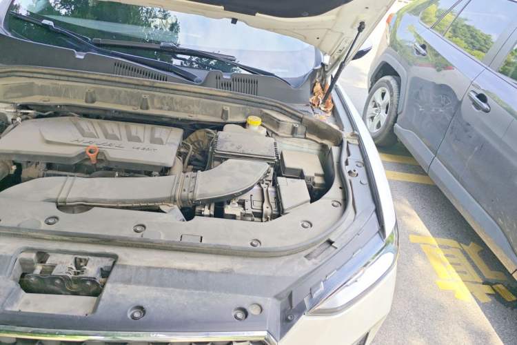 Used Haval F5 2019 National Trend Edition 1.5T i-Type China VI Standard Engine Bay Left