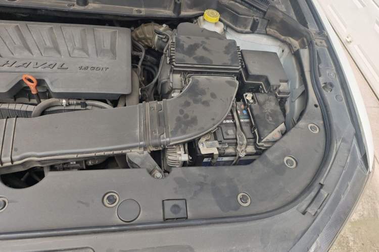 Used Haval F5 2019 National Trend Edition 1.5T i-Trend China VI Standard Engine Bay Left