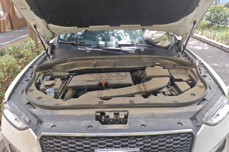 Used Haval F5 2019 National Trend Edition 1.5T i-Trend China V Standard Engine Bay