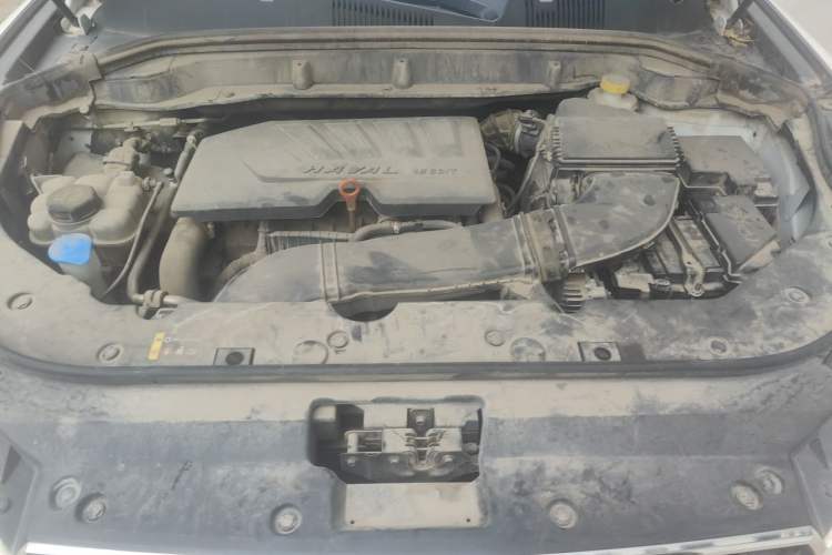 Used Haval F5 2019 National Trend Edition 1.5T i-Trend China VI Standard Engine Bay